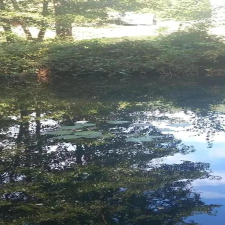 Dağ evi Cosy With River Saint-Quirin