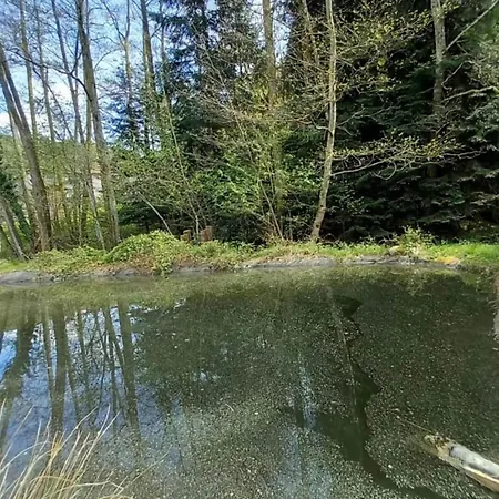 Dağ evi Cosy With River Saint-Quirin
