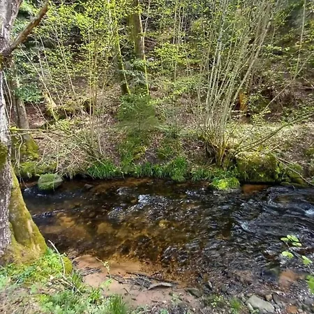Quiet With Garden Domek alpejski Saint-Quirin