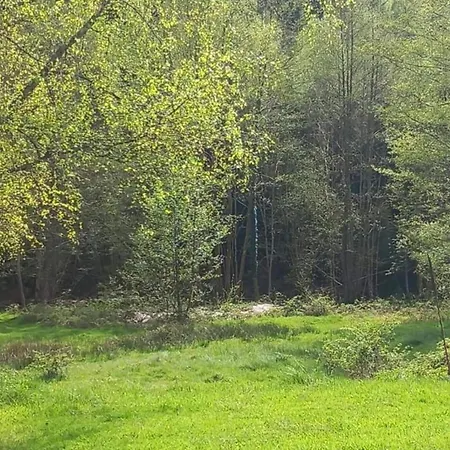 Alpehytte Quiet With Garden