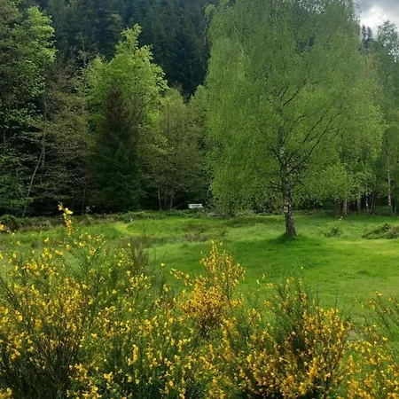 Quiet With Garden Domek alpejski *