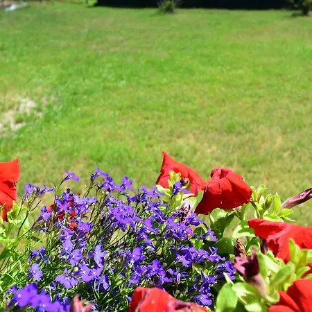 Domek alpejski Quiet With Garden *