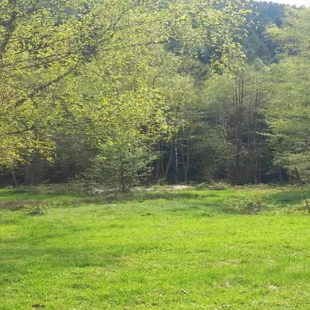 Quiet With Garden * Saint-Quirin