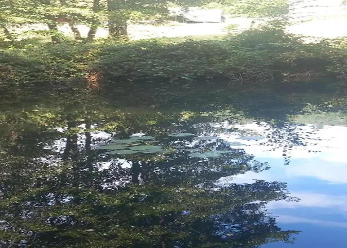 Quiet With Garden Saint-Quirin