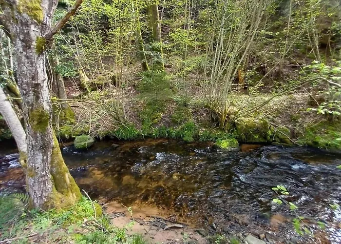 Quiet With Garden Horská chata Saint-Quirin