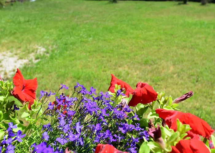 Horská chata Quiet With Garden *