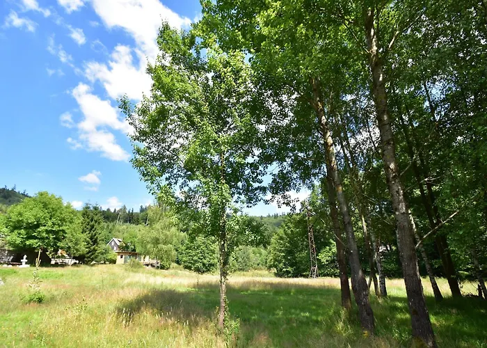 Quiet With Garden Horská chata Saint-Quirin