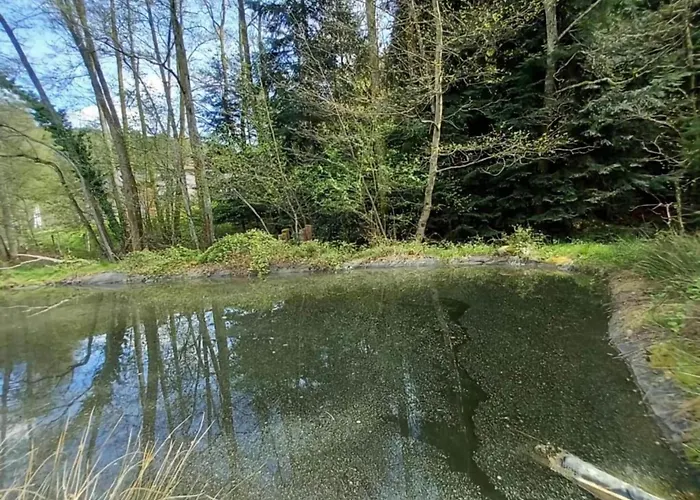 Quiet With Garden Saint-Quirin